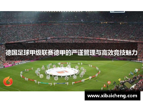 德国足球甲级联赛德甲的严谨管理与高效竞技魅力 德国足球甲级联赛德甲的严谨管理与高效竞技魅力