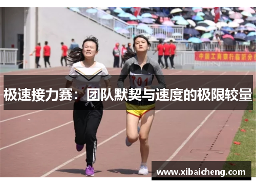 极速接力赛:团队默契与速度的极限较量 极速接力赛:团队默契与速度的极限较量