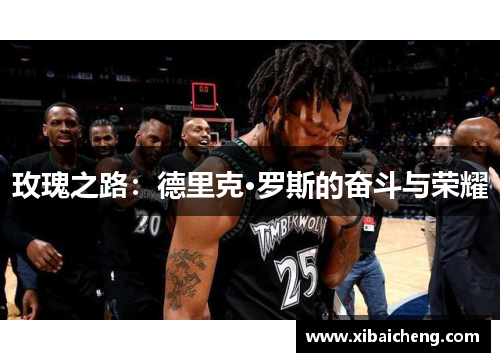 玫瑰之路:德里克·罗斯的奋斗与荣耀 玫瑰之路:德里克·罗斯的奋斗与荣耀