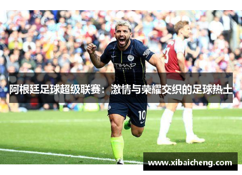 阿根廷足球超级联赛:激情与荣耀交织的足球热土 阿根廷足球超级联赛:激情与荣耀交织的足球热土