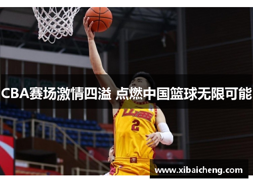 CBA赛场激情四溢 点燃中国篮球无限可能 CBA赛场激情四溢 点燃中国篮球无限可能