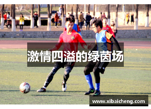 激情四溢的绿茵场 激情四溢的绿茵场