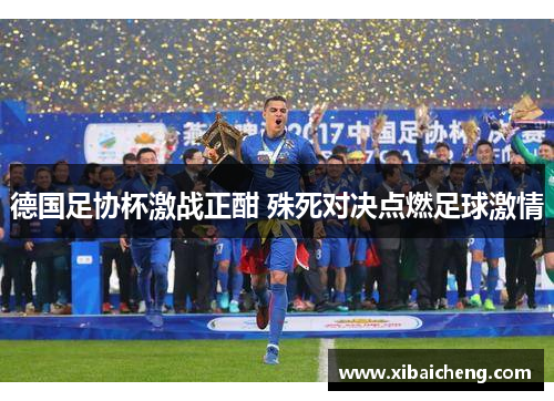 德国足协杯激战正酣 殊死对决点燃足球激情 德国足协杯激战正酣 殊死对决点燃足球激情