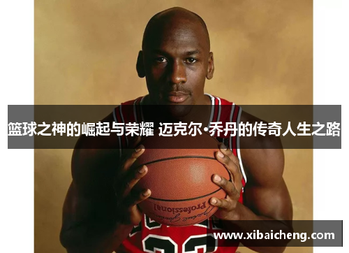 篮球之神的崛起与荣耀 迈克尔·乔丹的传奇人生之路 篮球之神的崛起与荣耀 迈克尔·乔丹的传奇人生之路